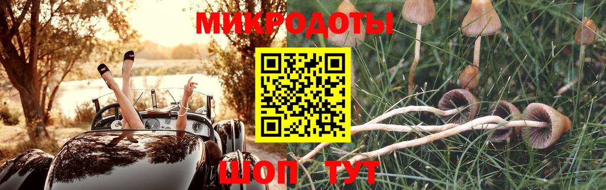 Псилоцибиновые грибы Psilocybe Лосино-Петровский